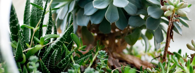 530 1300x400 530 1300x400