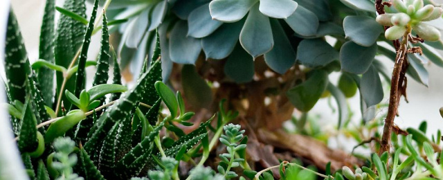 530 1300x400 530 1300x400