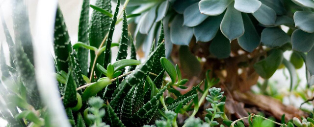 530 1300x400 530 1300x400