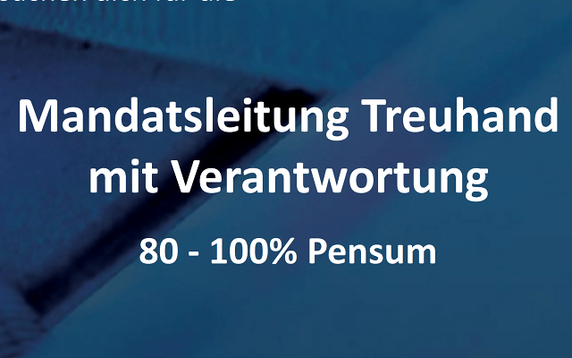 Mandatsleiter Treuhand